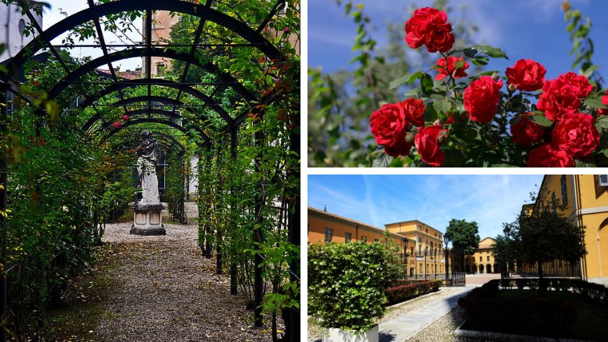 Botanischer Garten der Universität Pavia mit roten Rosen