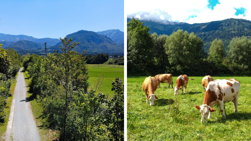 Drauradweg: Luftaufnahme des Radwegs und der Landschaft mit Tieren.