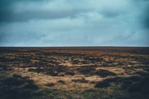 Das Abbrennen von Moorland für die Bewirtschaftung von Hochlandgebieten setzt Millionen Menschen unsicheren Luftverschmutzungsniveaus aus