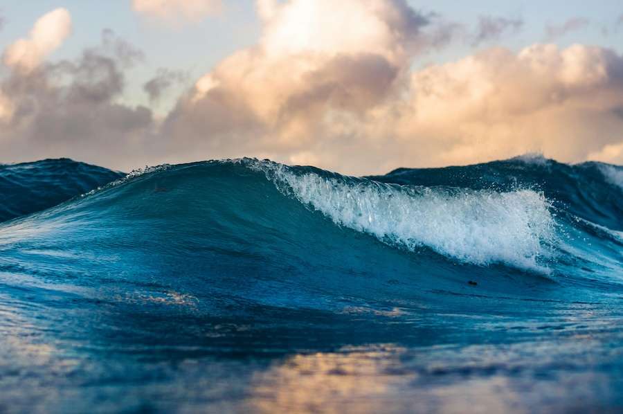 The ocean is fighting climate change and we’re trying to help it – here’s how