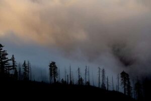 Die Waldbrandgefahr breitet sich nun auch auf kühle Klimazonen wie die schottischen Highlands und die irischen Hochländer aus