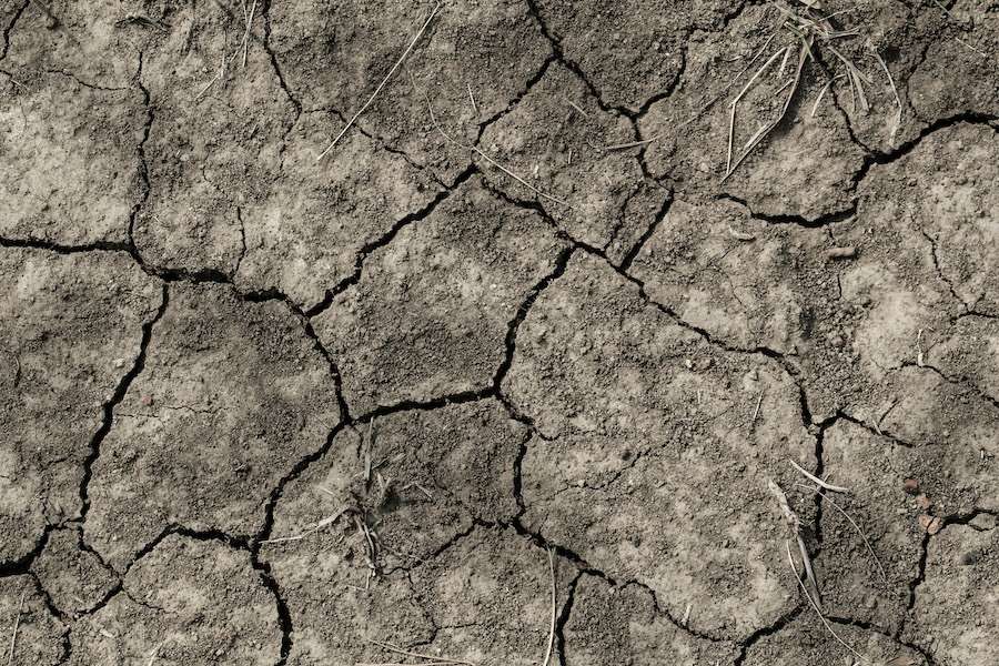 Heatwaves are now everyday disasters – governments need to do more to protect people