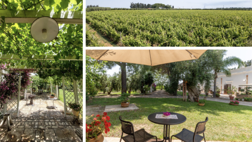 Agriturismo La Stornara, Gärten und Außenbereiche zum Entspannen
