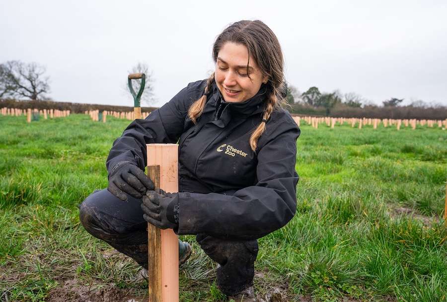 More than 5,000 new trees provide big boost to biodiversity in the North West