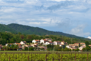 Montello: ein grüner Reiseführer durch Wälder, Wanderwege und authentische Aromen in Venetien