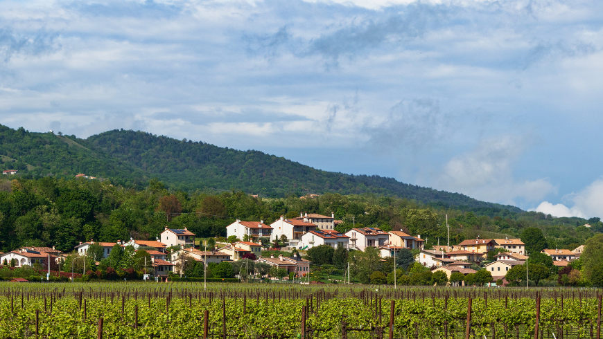 Aussicht auf Montello