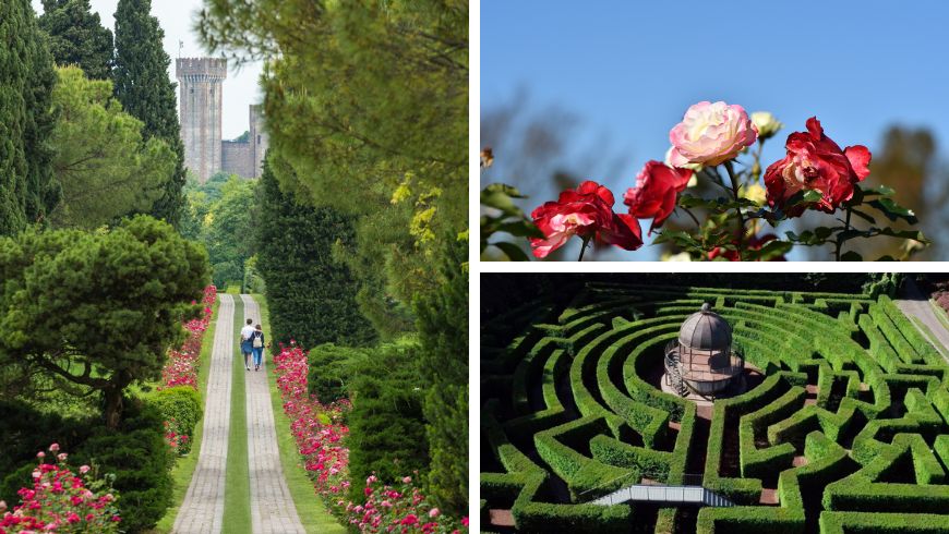 Viale delle Rose im Parco Sigurtà mit Rosen und einem Labyrinth