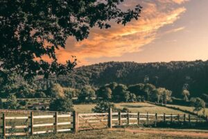 Walisische Landschaft – was die Grünen und die Reform versprechen, dass sie sich nach der Wahl ändern würden