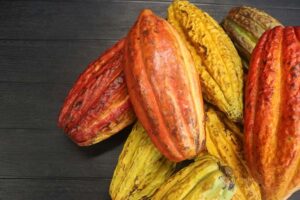 World Cocoa Foundation und COCOBOD geben Ghana als Gastgeber des Partnerschaftstreffens 2027 bekannt