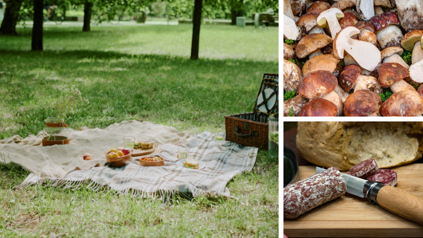 Picknick, Steinpilze und Salami