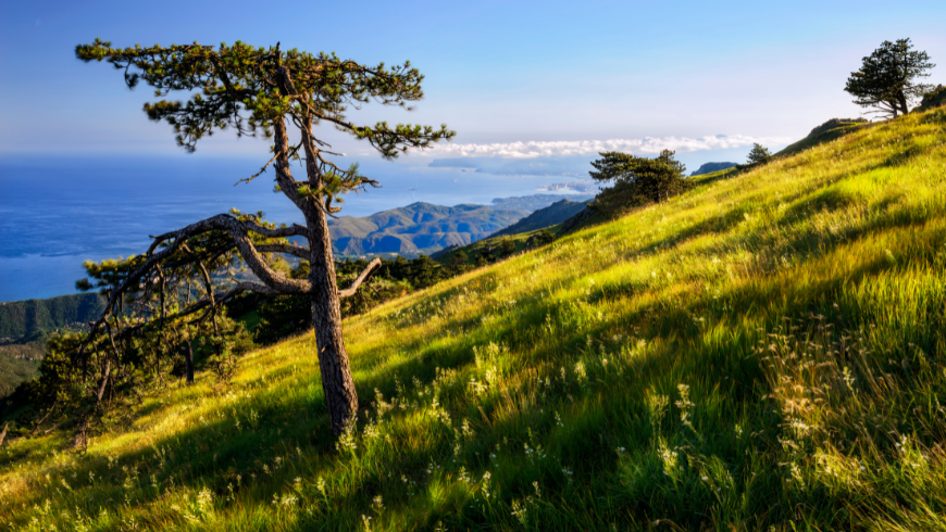 Regionaler Naturpark Beigua mit Blick auf das Ligurische Meer