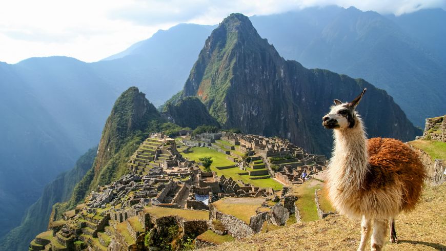 Lama mit Blick auf die antike Zitadelle von Machu Picchu, umgeben von den Anden