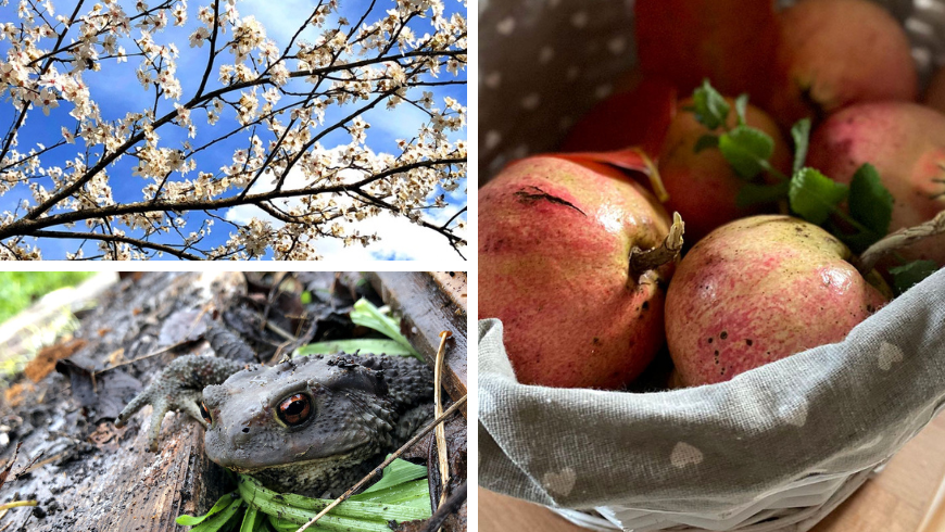 Natur der Hütte: Tiere, Blumen und Früchte