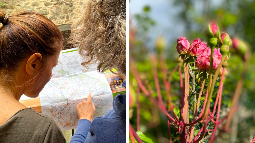 Karte der Wege des Territoriums und der rosa Blumen des Gartens