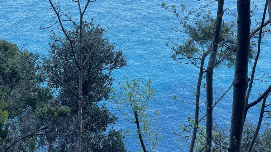 Blick auf das Meer durch Bäume entlang eines ruhigen Wanderwegs in Portofino