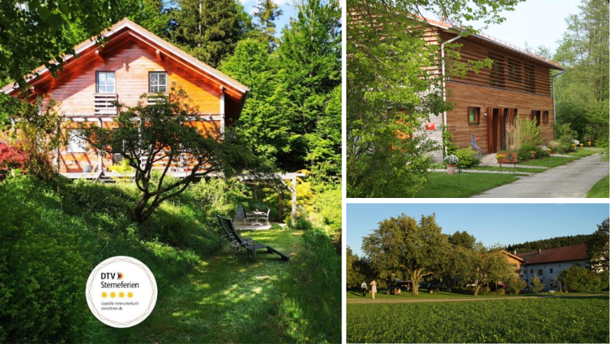 Haus mitten im Grünen und einer Wiese mit Bäumen