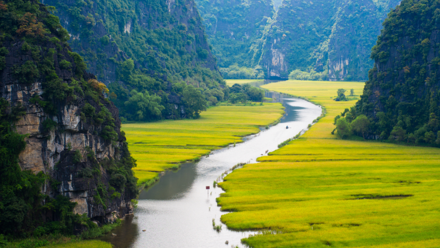 Reisfeld und Fluss in NinhBinh, Vietnam
