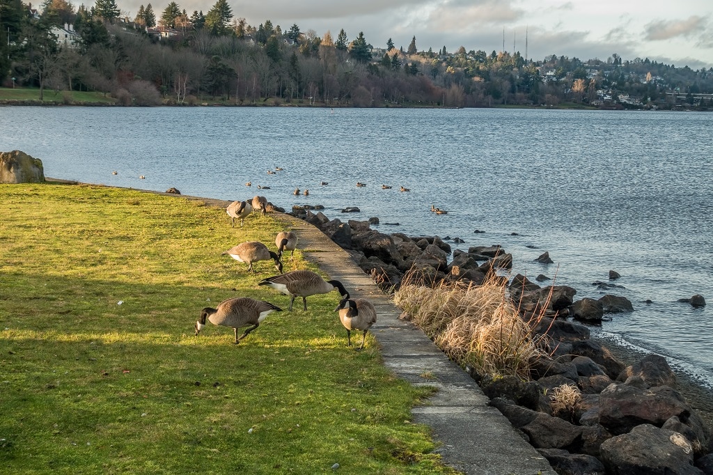 Stanley Park
