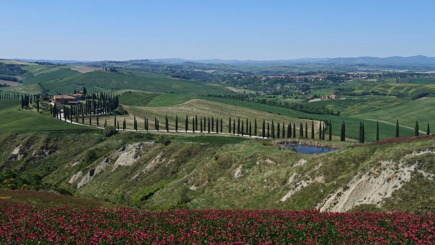Blumenlandschaft im Val d'Orcia
