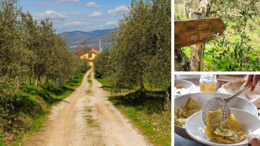 Collage aus Bildern des Bioagriturismo Poderaccio in Incisa Valdarno, umgeben von Olivenhainen, mit Bio-Gemüsegarten und hausgemachten Kräuter-Tortelli. Entdecken Sie eine andere authentische und nachhaltige Toskana.
