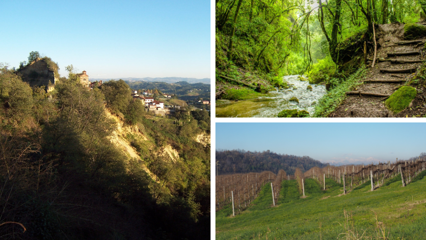 Weinberge und Wanderwege auf den Hügeln und im Wald