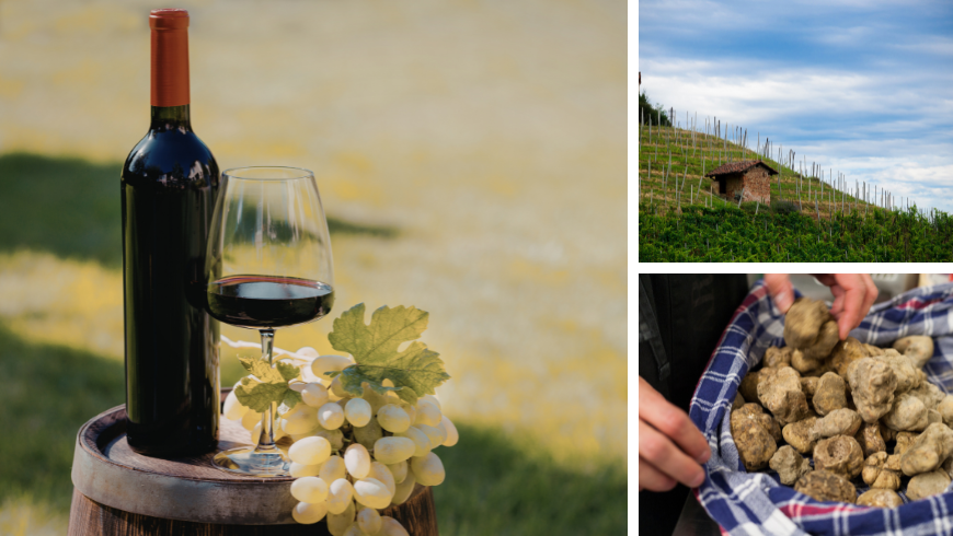 Wein, Weinberge und Trüffel aus Roero