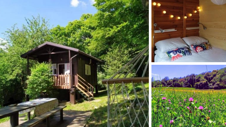 Haus im Wald mit Wiesen und Zimmer drinnen