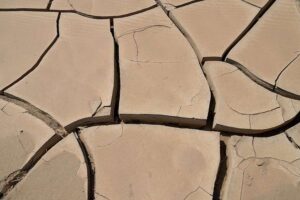 Das Kaspische Meer hat eine Fläche verloren, die fast so groß ist wie Sizilien; menschliche Aktivitäten sind ein wesentlicher Grund dafür