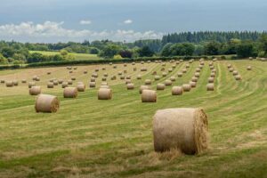 Die Wildlife Trusts rücken naturfreundliche Landwirtschaft in Groundswell in den Fokus