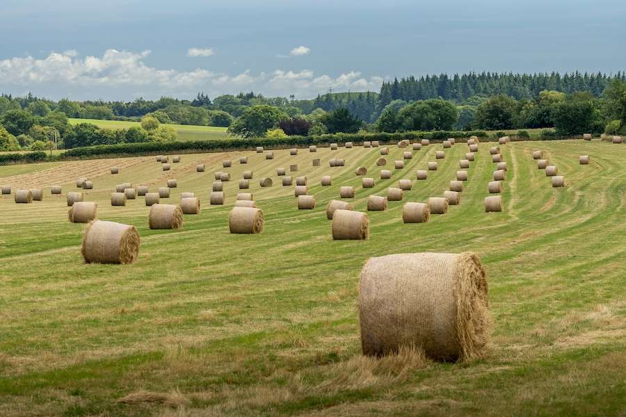 The Wildlife Trusts Bring Nature-Friendly Farming into Focus at Groundswell