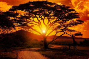 Extreme Wetter- und Klimaereignisse wirken sich im Jahr 2025 auf Millionen Menschen in Afrika aus