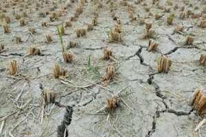 Extreme Wetterbedingungen und eine ungleichmäßige Anpassung an den Klimawandel gefährden die Widerstandsfähigkeit Europas