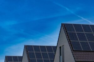 Können Ihre Ersparnisse den Klimaschutz unterstützen? Ein Gespräch mit bettervest