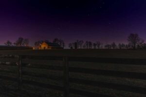Landwirte in einem Nationalpark schalten nachts das Licht aus, um der Tierwelt zu helfen – das könnte auch gut für die Ernte sein
