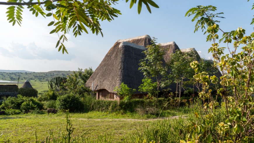 Außenhüttenunterkunft in einer Safari-Lodge für Touristen in Uganda, mit Strohdach