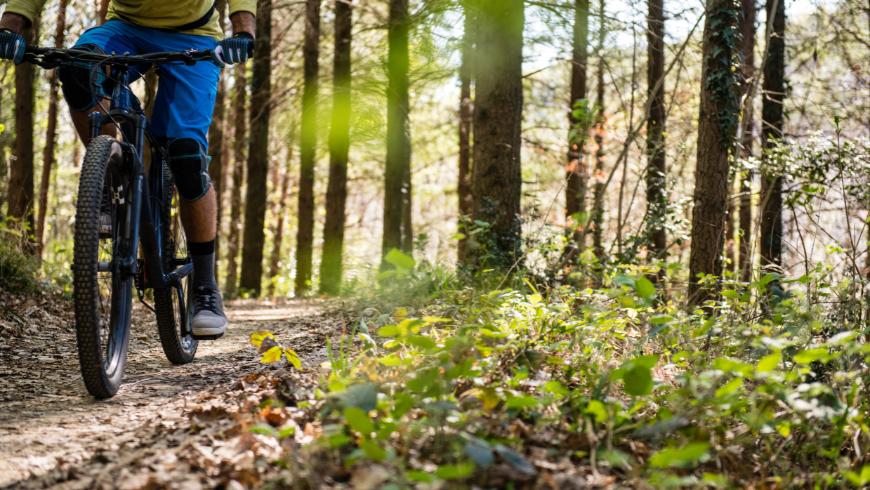 Mountainbike-Touren in Meran und Umgebung
