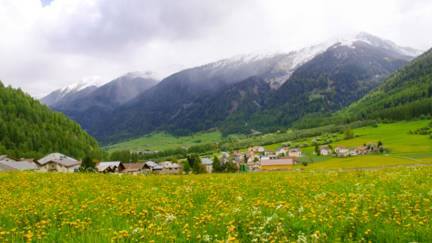 Haflinger Hochebene, Südtirol