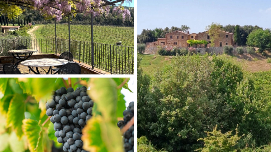 Podere Sole, Bio-Agriturismo im Valdichiana Senese