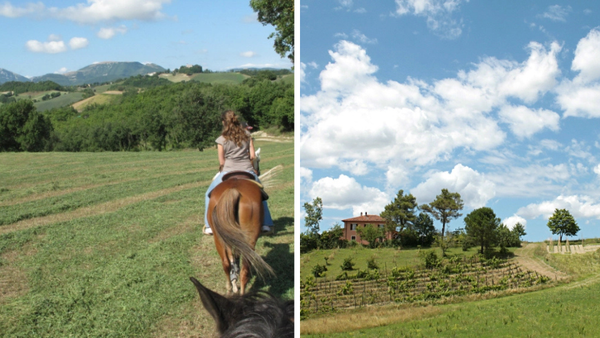 Reiten Sie durch die hügelige grüne Landschaft
