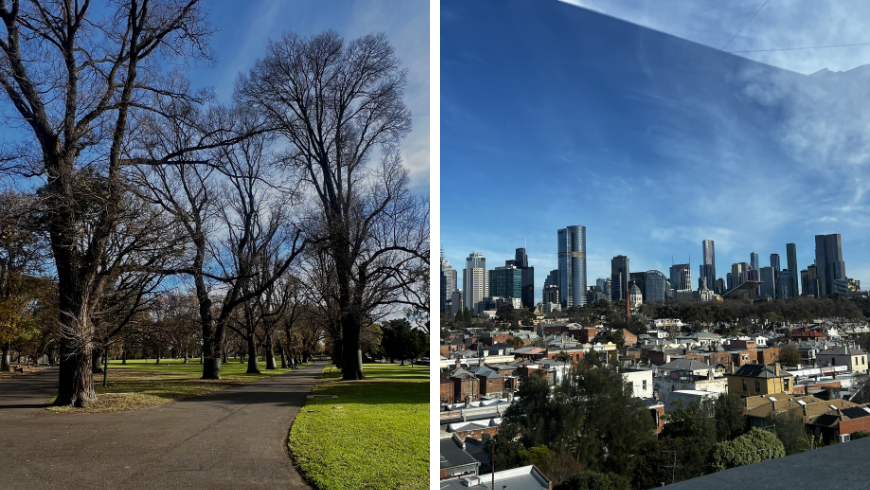 Park mit Bäumen und Spazierweg, Blick von der Dachterrasse auf ein Fitzroy-Viertel in Melbourne