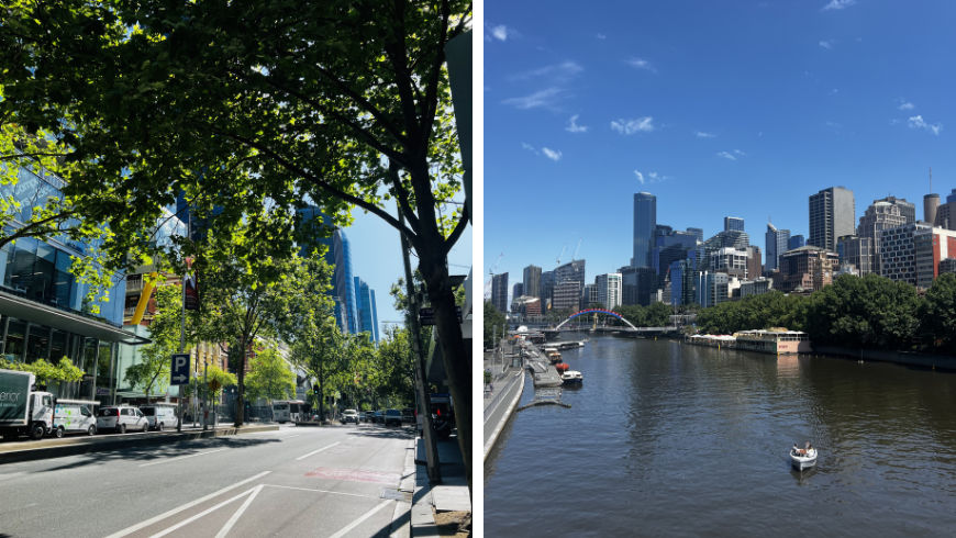 Straße in Melbourne mit Bäumen und Yarra River