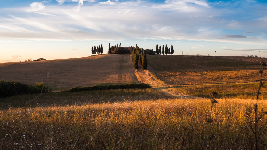 Landschaft vor Poggio Manzuoli
