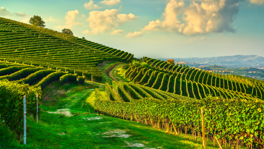 Langhe-Landschaft zum Entdecken mit dem Fahrrad oder zu Fuß