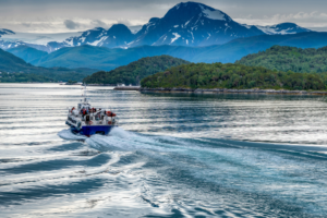 8 Arktis-Expeditionskreuzfahrten für Reisende, die Wissenschaft und nicht nur Landschaften wollen
