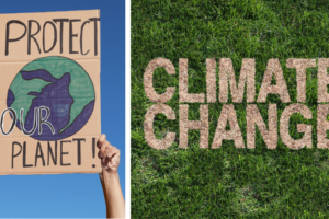 COP30 und nachhaltiges Reisen: Warum Klimakonferenzen wichtig sind