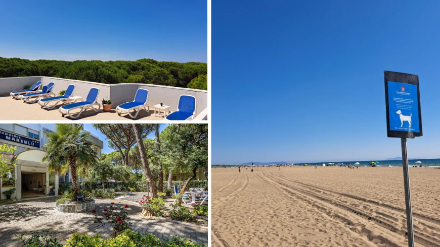 Hundestrand mit Liegestühlen und Pinienwald
