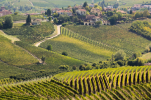 Die authentische Langhe: Weinberge, Dörfer und ländliche Gastfreundschaft