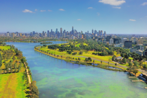 Melbourne für umweltbewusste Reisende: Parks, Märkte und Naturerlebnisse
