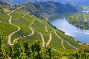 Radfahren an der Mosel: Eine gemütliche Route durch Riesling, Dörfer und Weinberge