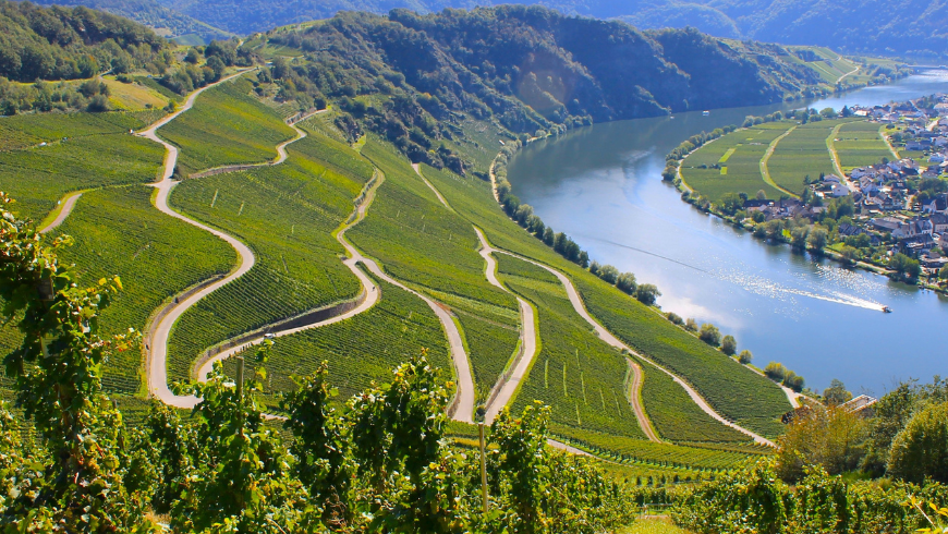 Landschaft des Moseltals